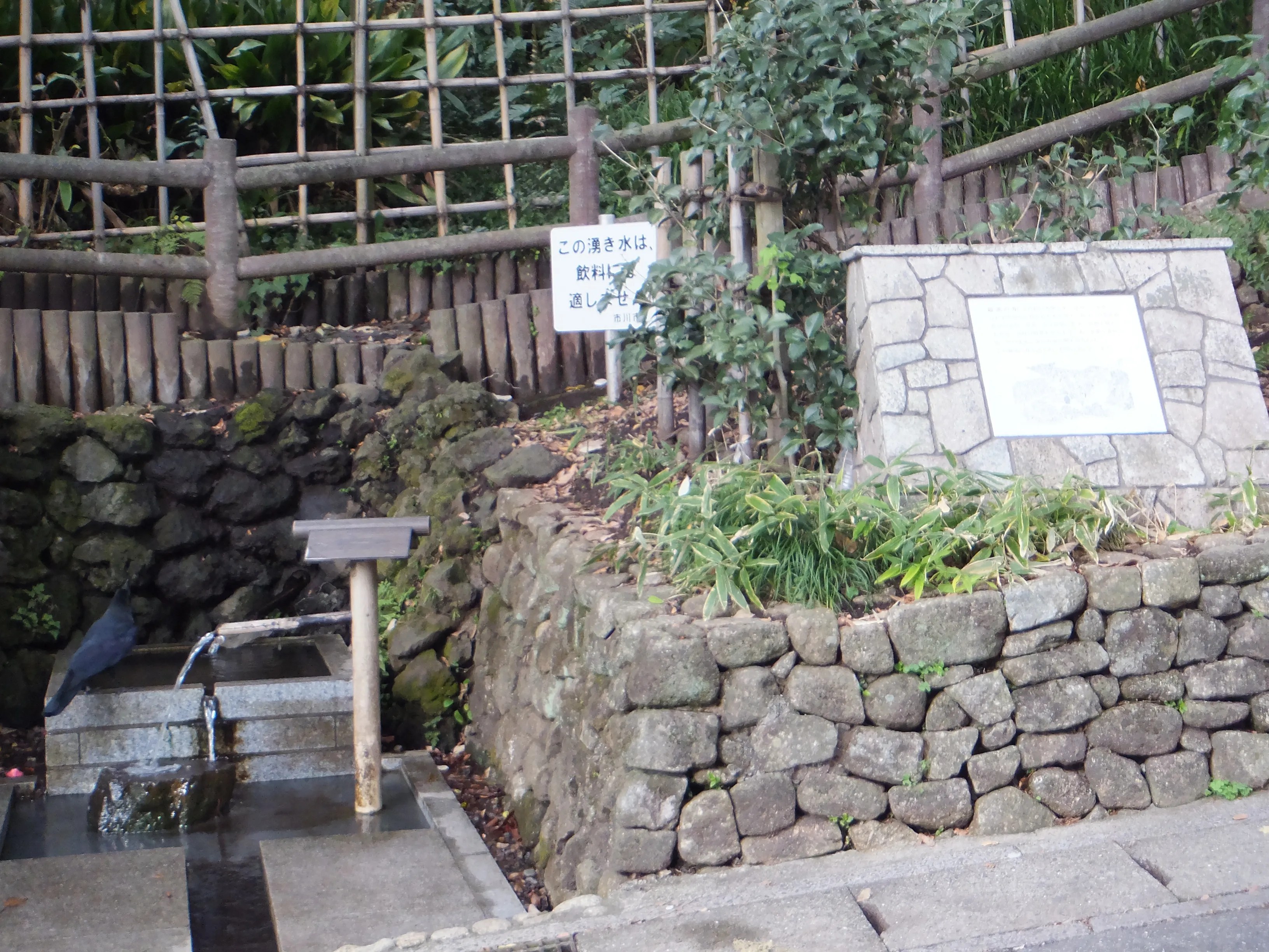 羅漢の井