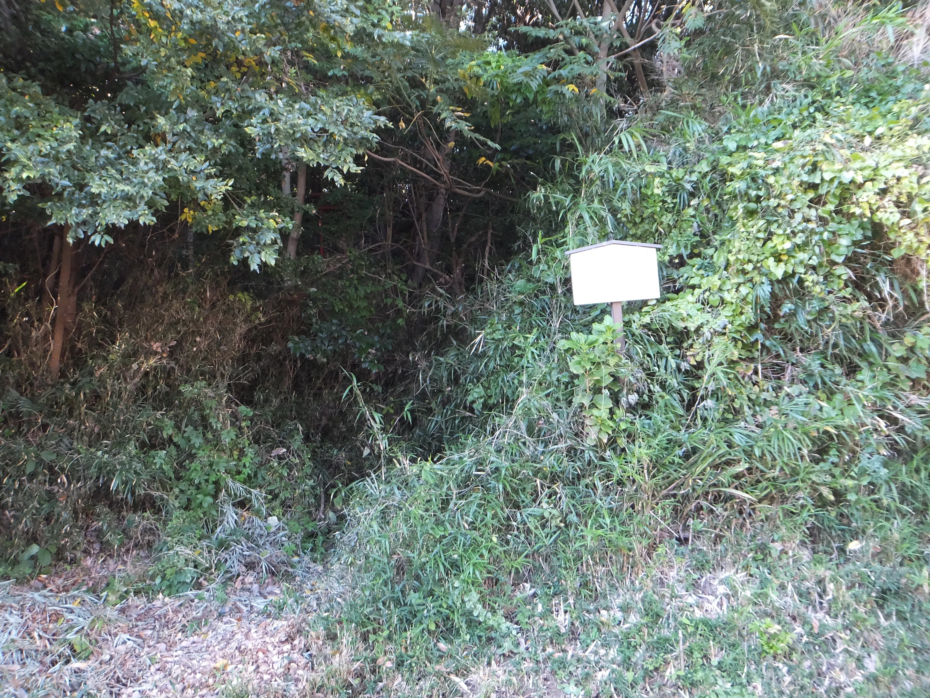 越の山横穴墓群